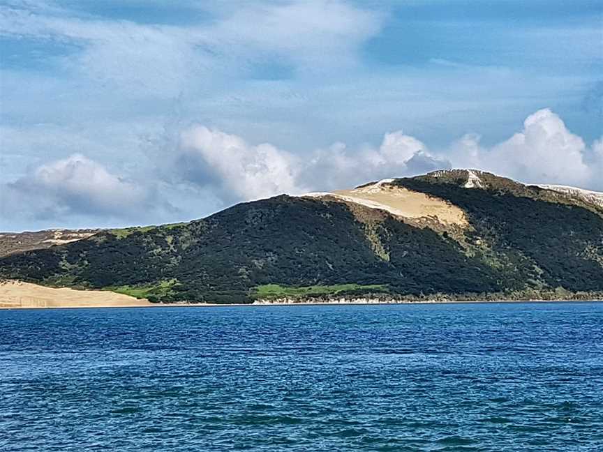 Opo the dolphin, Opononi, New Zealand