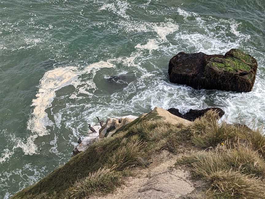 Cliffs at Fortrose (Mataura River Mouth), Fortrose, New Zealand