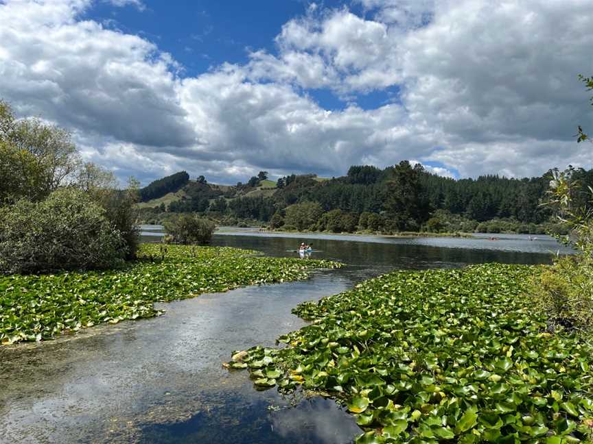 Dunham's Point Reserve, Kinleith, New Zealand