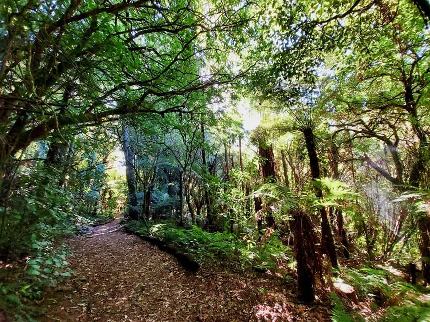 Jim Barnett Reserve, Waotu, New Zealand