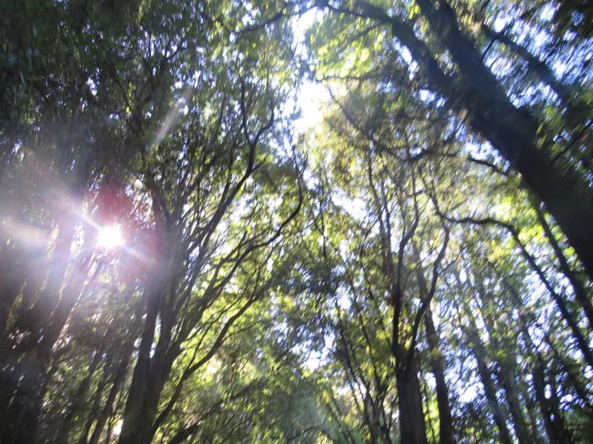 Jim Barnett Reserve, Waotu, New Zealand