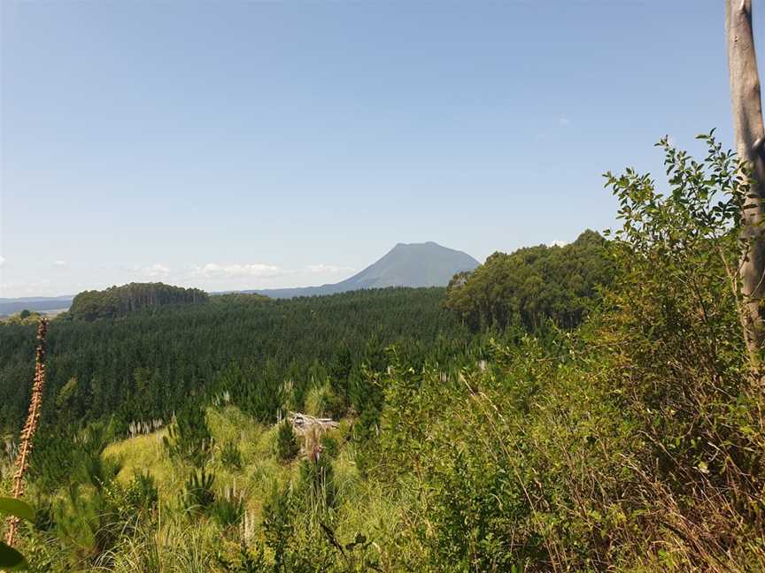 Onepu Community Park, Te Teko, New Zealand