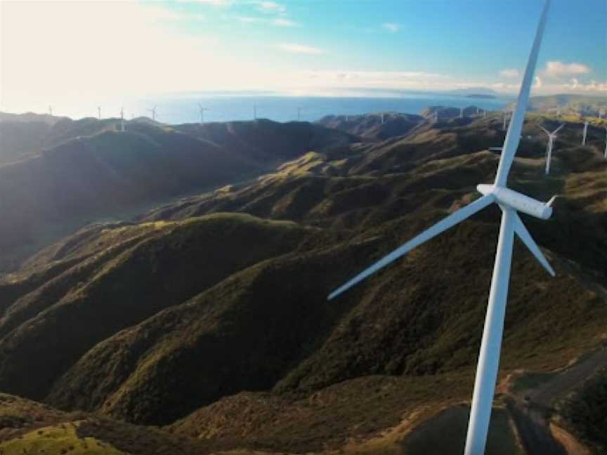 West Wind, Wellington, New Zealand