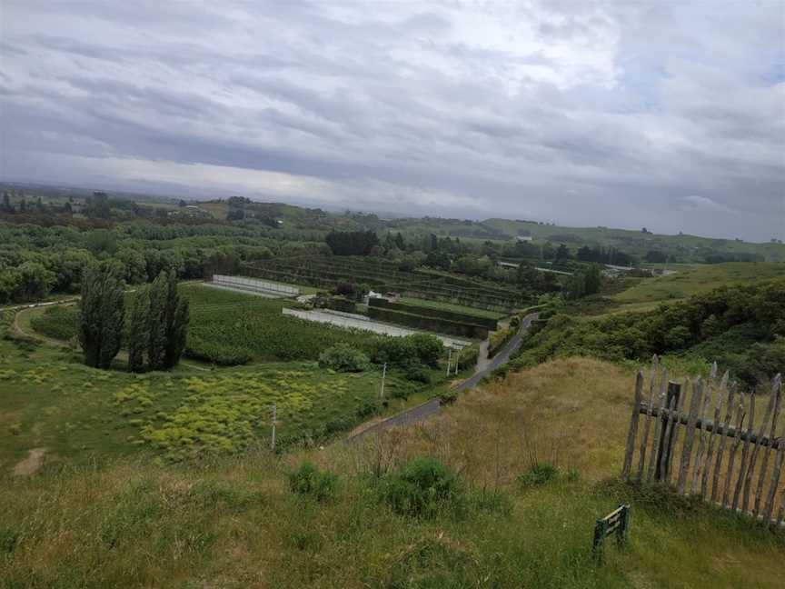 Otatara Pa Historic Reserve, Taradale, New Zealand