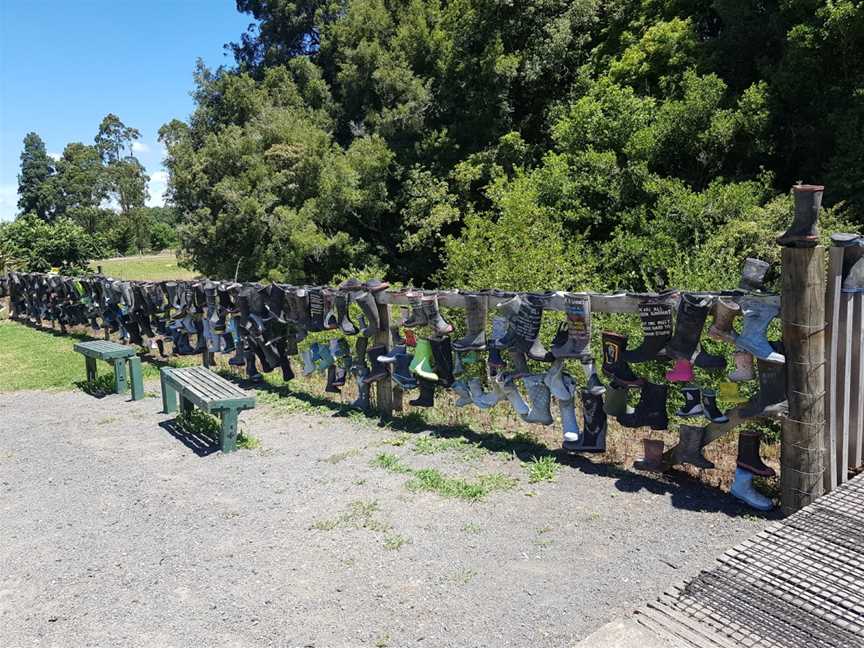 White Pine Bush Gumboot fence, White Pine Bush, New Zealand