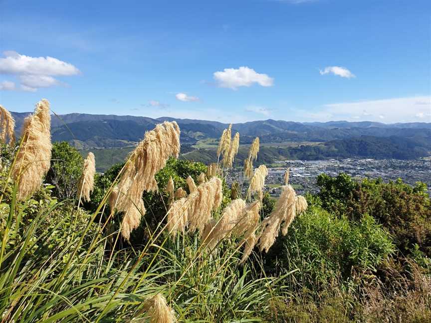 Cannon Point Trig, Upper Hutt, New Zealand