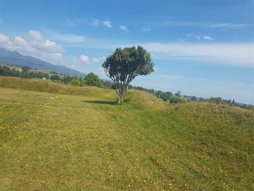 Alexandra Redoubt, Pirongia, New Zealand