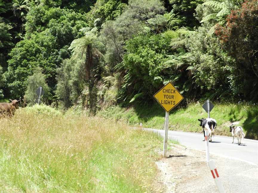 Moki Tunnel, Tahora, New Zealand