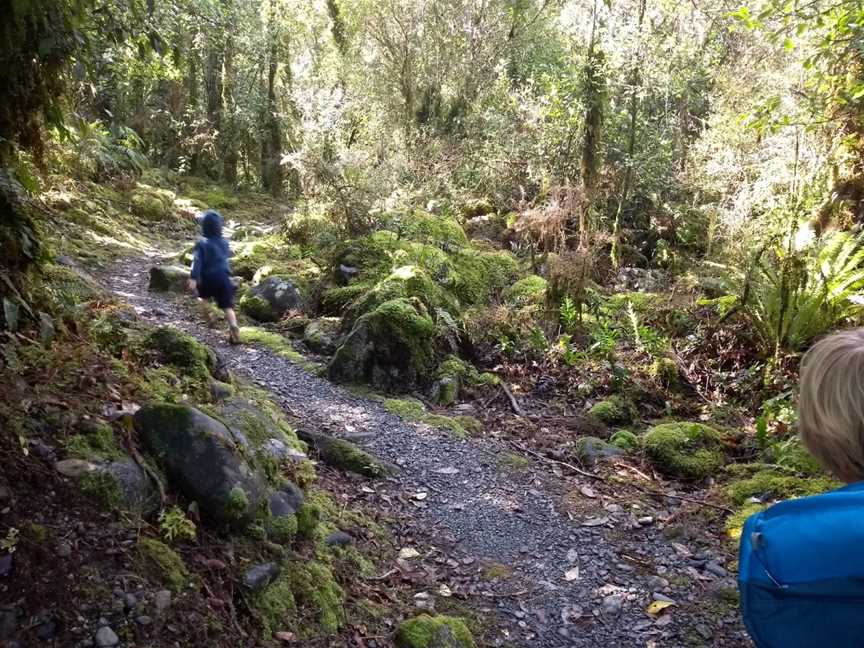 Londonderry Rock, Maruia Valley, New Zealand