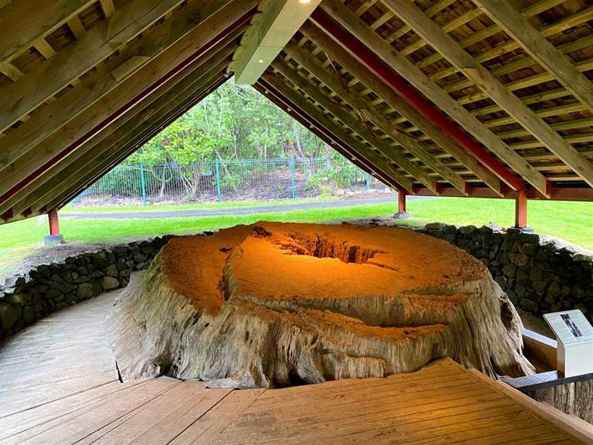 Maori War Canoe, Waitangi, New Zealand