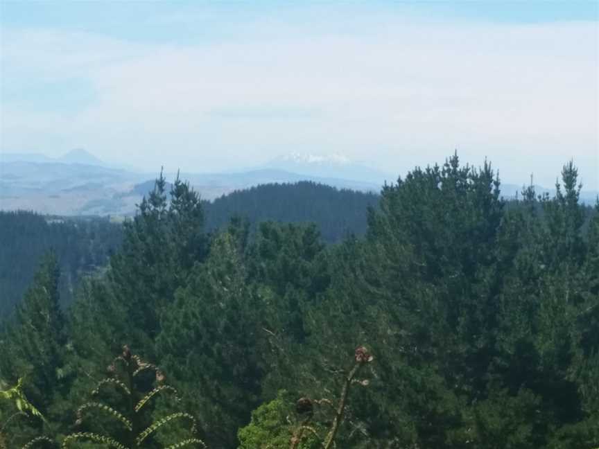 Haggas Lookout, Ohakea, New Zealand