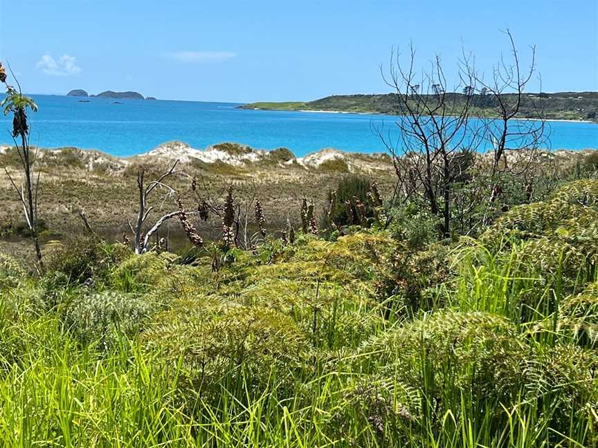 Karikari Beach, Karikari Peninsula, New Zealand