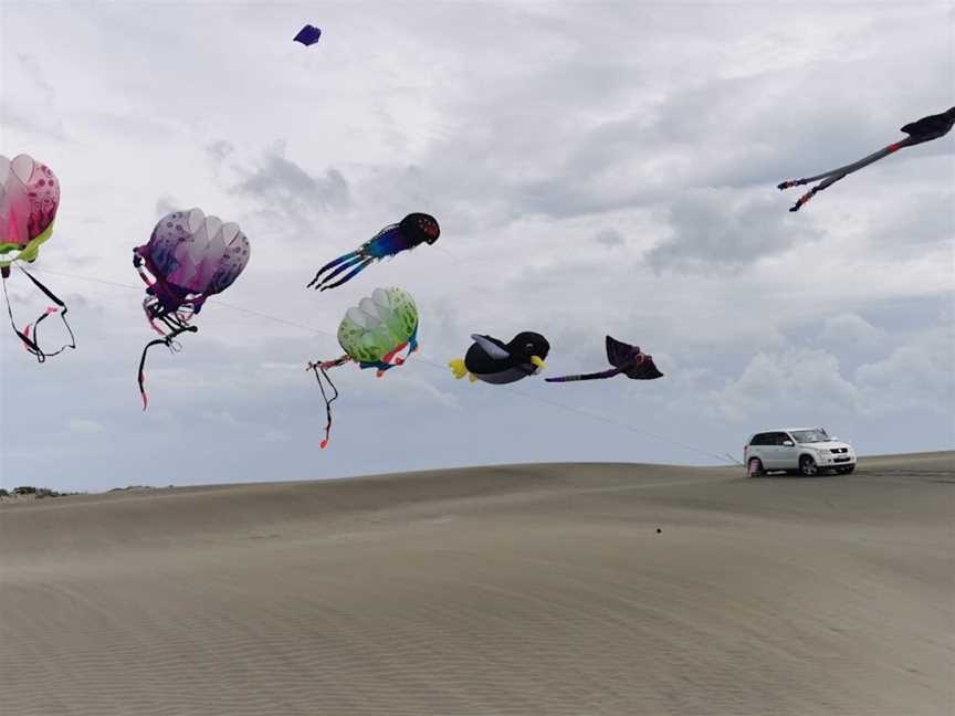 Port Waikato Sand Dunes, Port Waikato, New Zealand