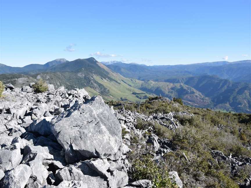 Takaka Hill Walkway, Rai Valley, New Zealand