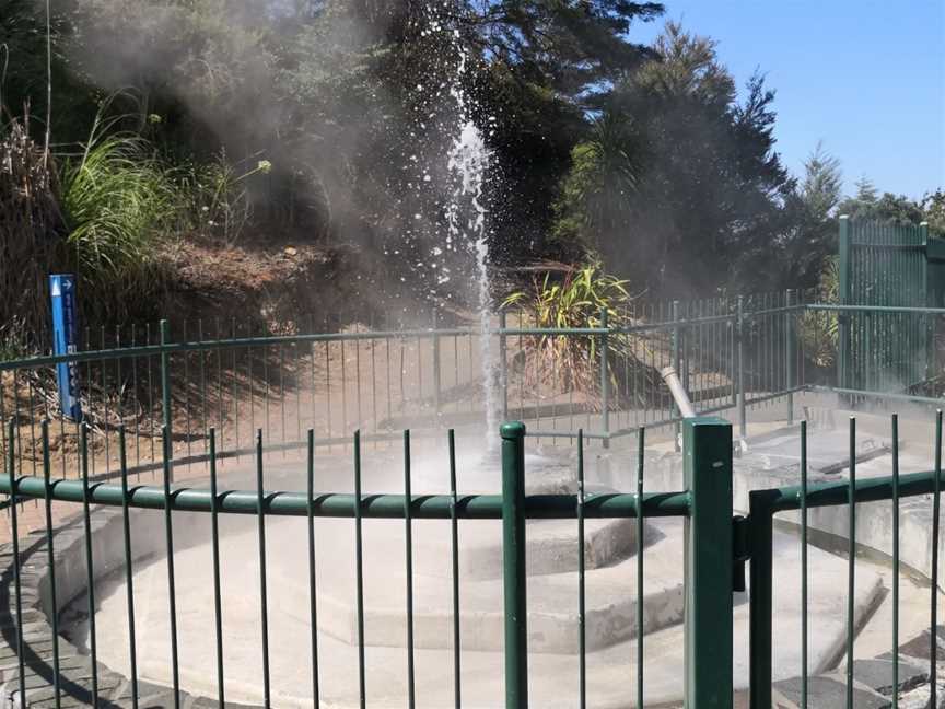 Mokena Geyser, Te Aroha, New Zealand