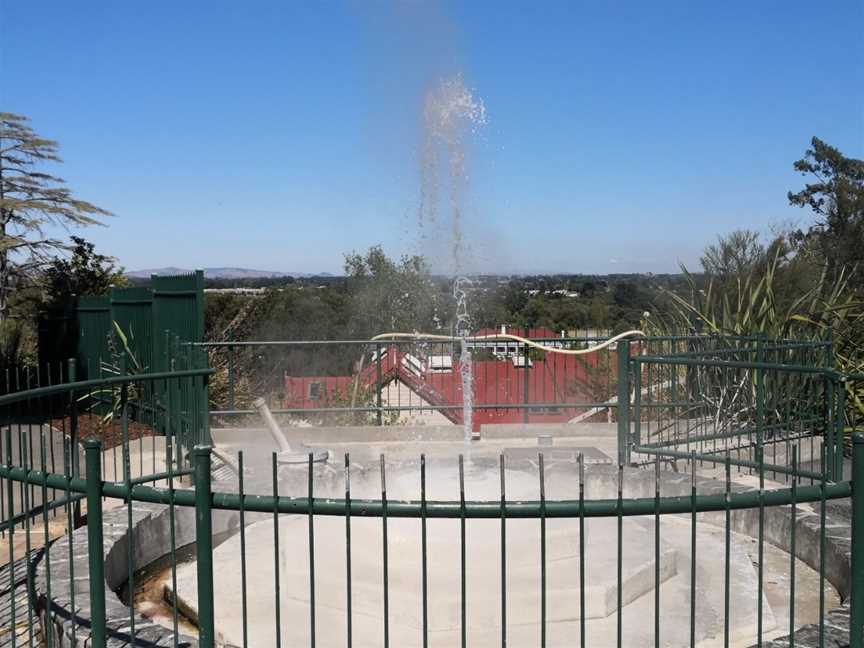 Mokena Geyser, Te Aroha, New Zealand