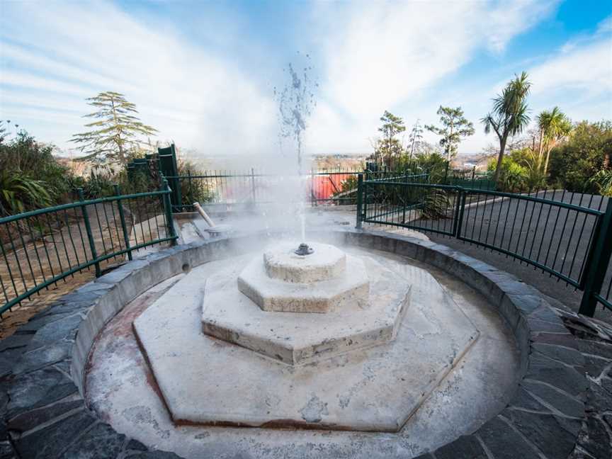 Mokena Geyser, Te Aroha, New Zealand