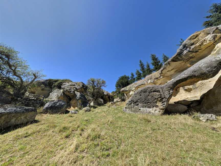 Anatini Fossil Place, Island Cliff, New Zealand