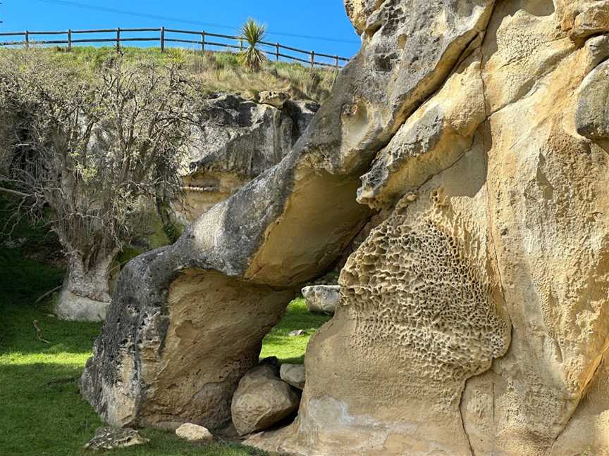 Anatini Fossil Place, Island Cliff, New Zealand