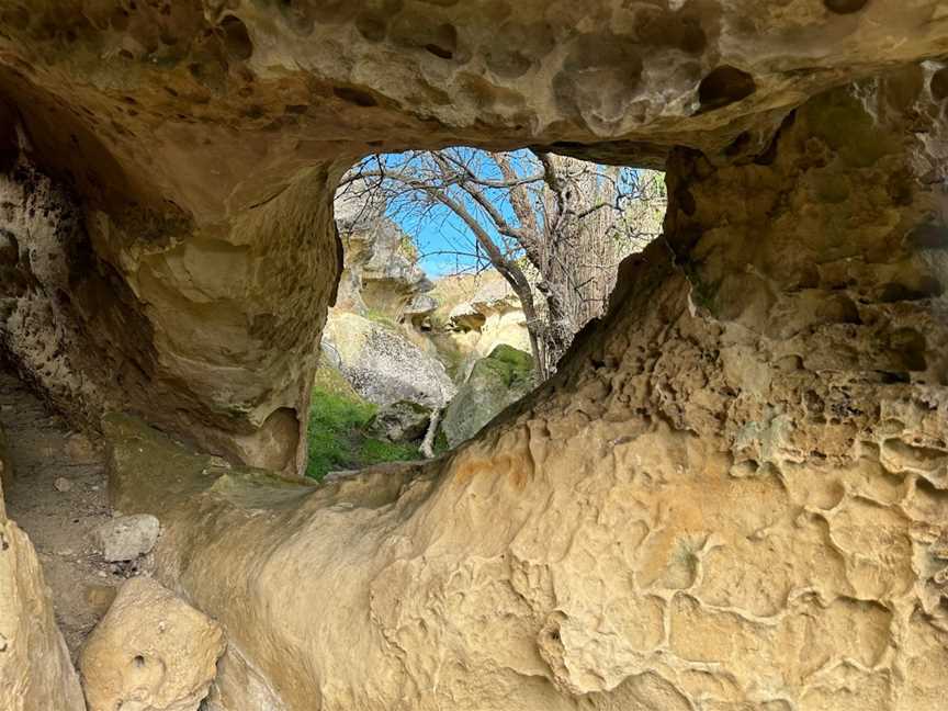 Anatini Fossil Place, Island Cliff, New Zealand