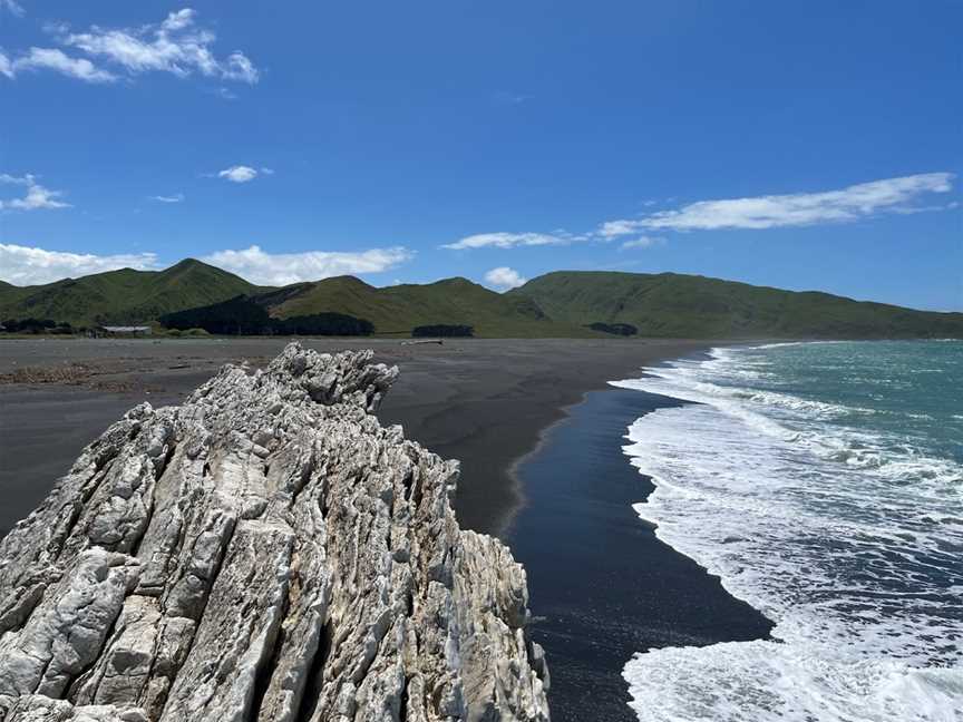 White Rock, White Rock, New Zealand