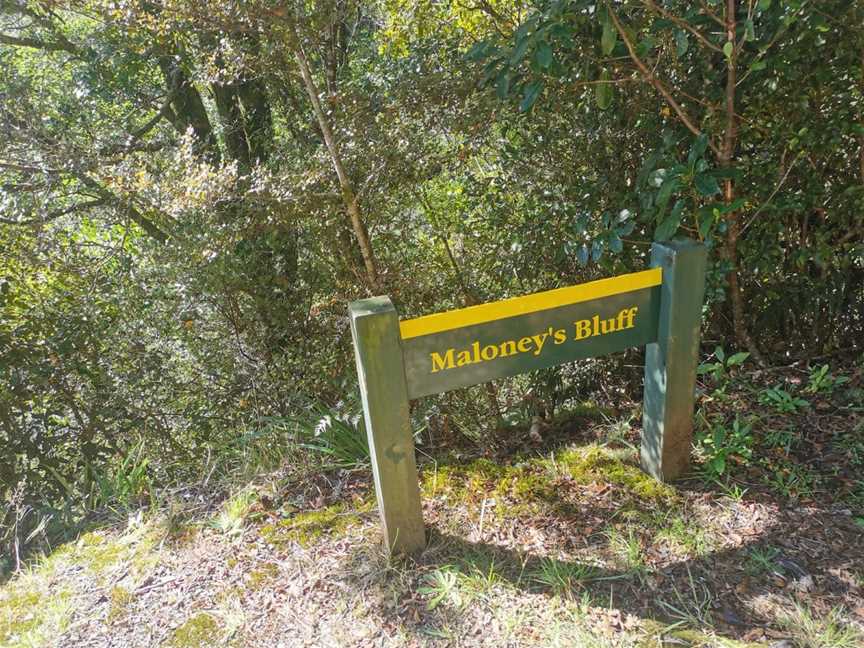 Fenian Caves Loop, Karamea, New Zealand