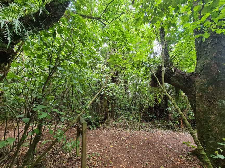 Maungatautari Southern Enclosure, Pukeatua, New Zealand