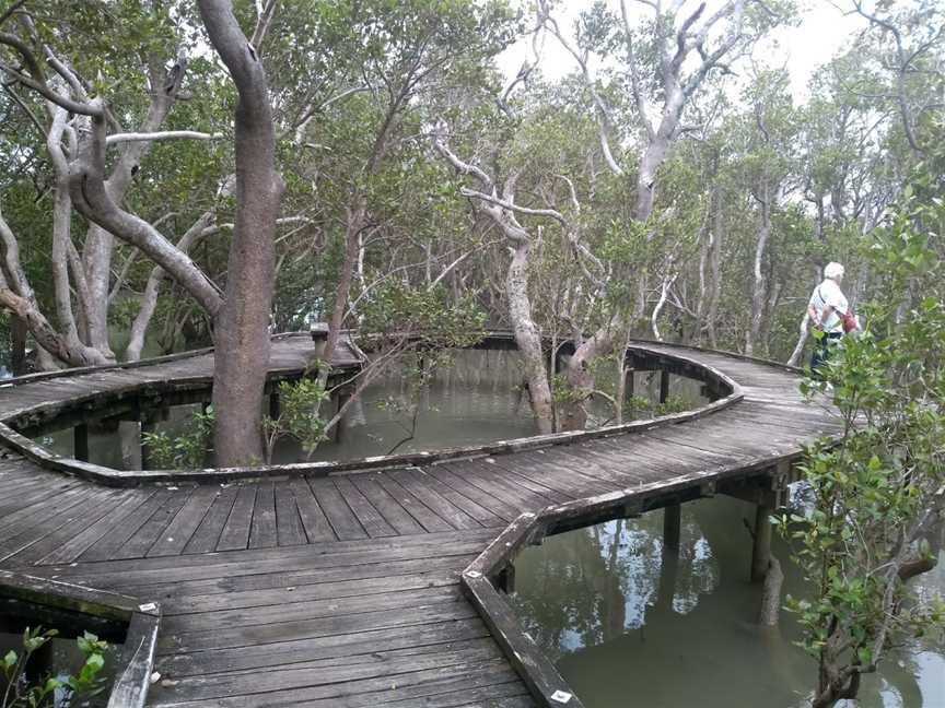 Rawene Mangrove Boardwalk, Rawene, New Zealand