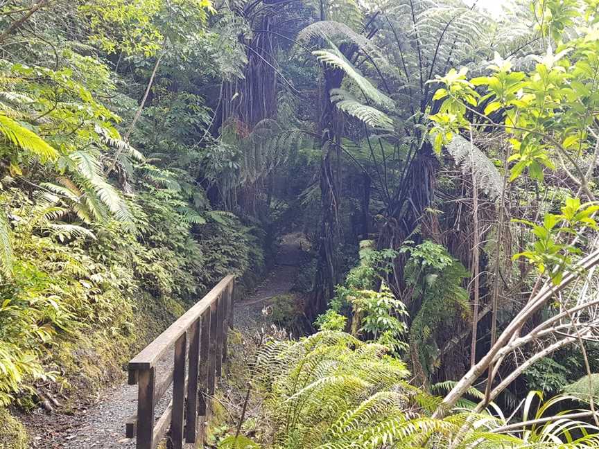 Waiotemarama Falls, Waimamaku, New Zealand