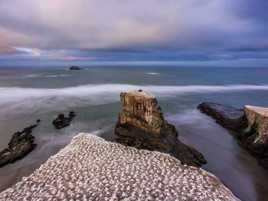 Muriwai Beach Scenic Roadside Lookout, Muriwai, New Zealand