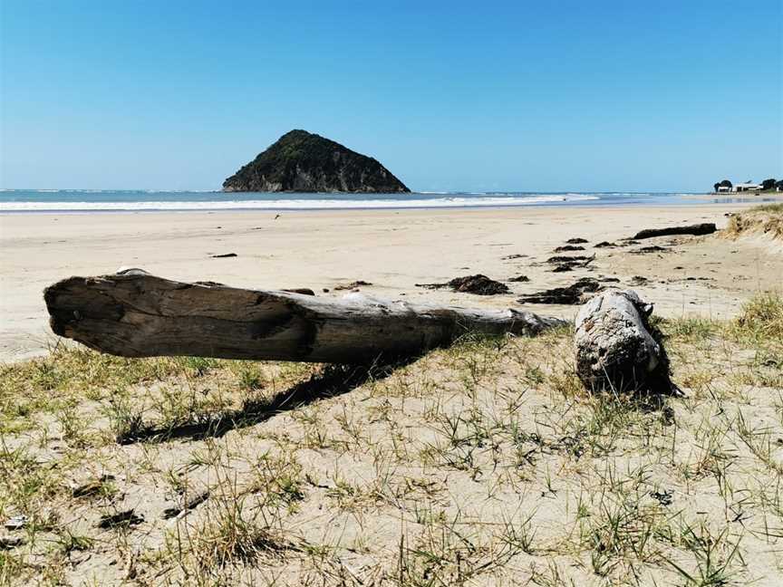 Place Of Cook's Landing In New Zealand, Gisborne, New Zealand