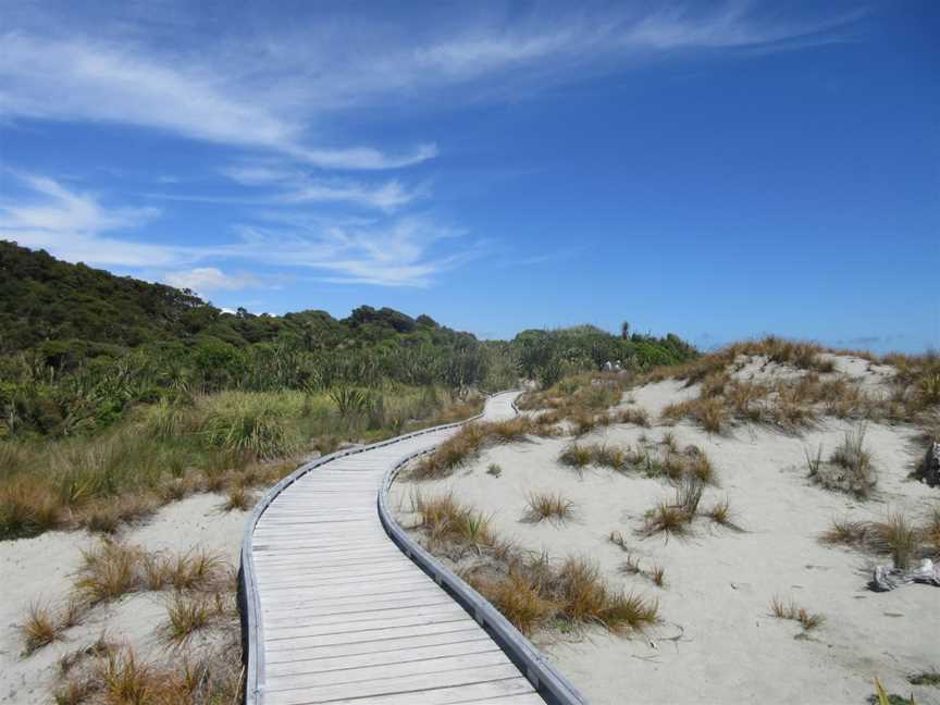 Swamp Forest Walk, Haast, New Zealand