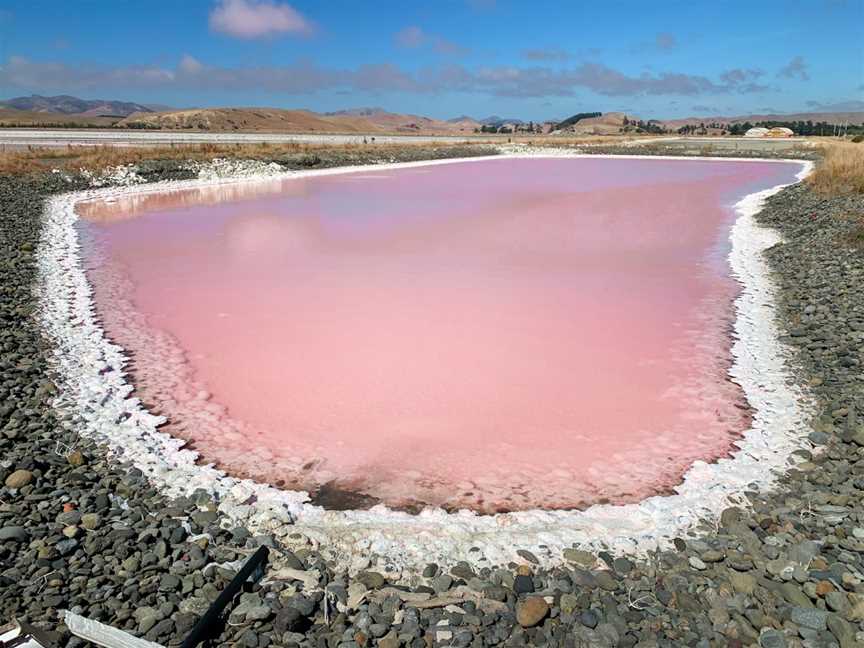 Saltworks, Marlborough, New Zealand