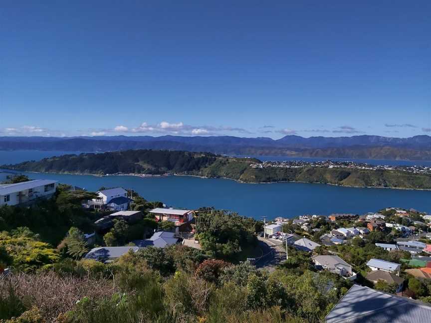 Mount Victoria Radio Tower, Roseneath, New Zealand