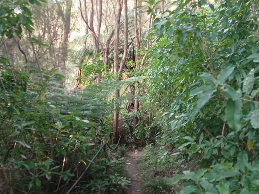 Tinui ANZAC Walkway, Tinui, New Zealand