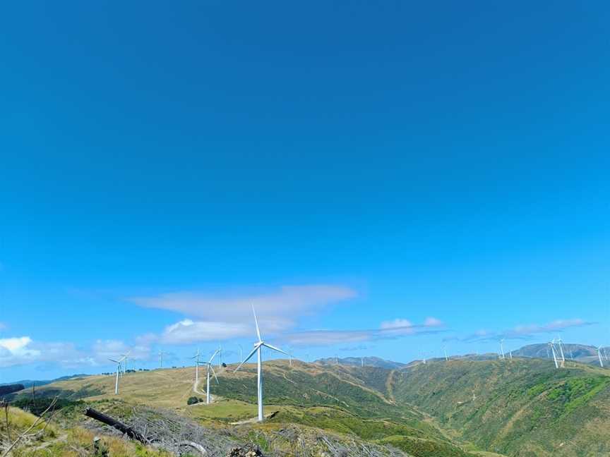 Makara Peak Mountain Bike Park, Karori, New Zealand