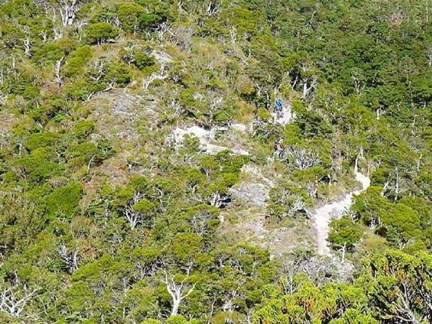 The Old Ghost Road, Westport, New Zealand