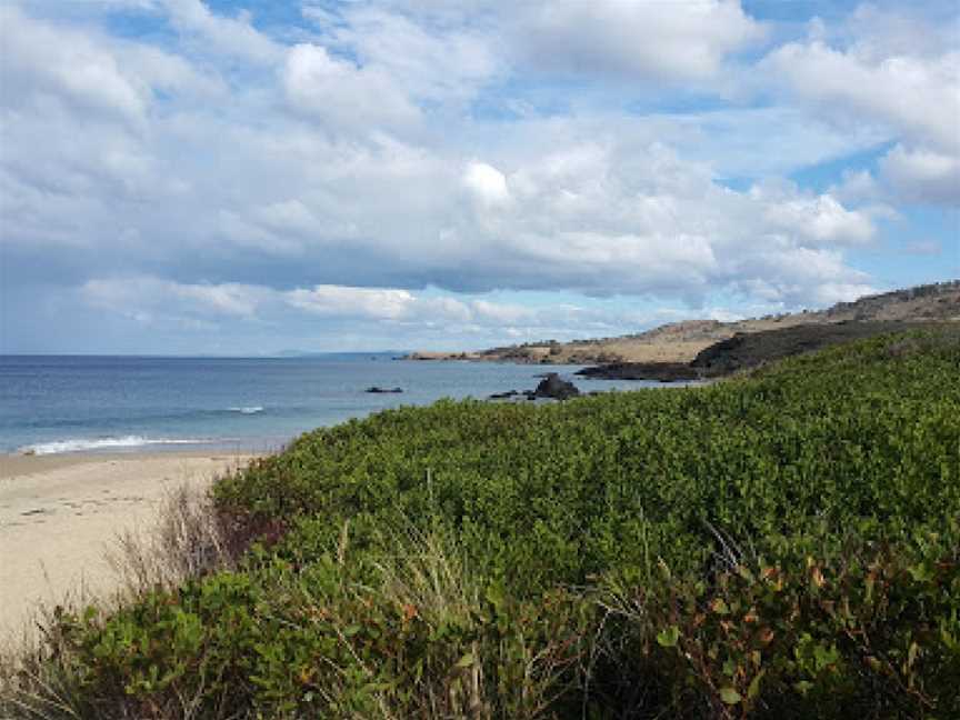 Cressy Beach, Swansea, TAS