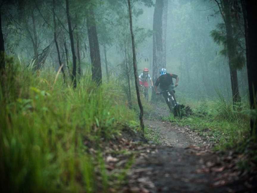 Atherton Forest Mountain Bike Park, Atherton, QLD