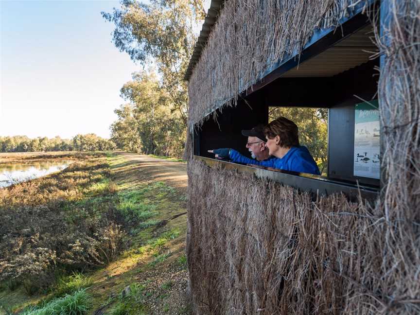 Marrambidya Wetland, Wagga Wagga, NSW