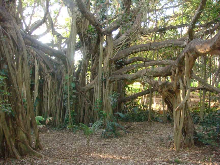 Rockhampton Botanic Gardens, The Range, QLD