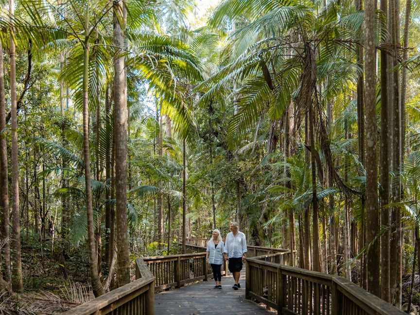 Buderim Falls, Buderim, QLD