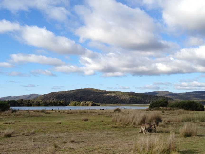 Narawntapu National Park, Bakers Beach, TAS