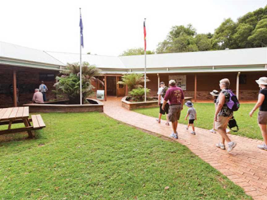 Dorrigo Rainforest Centre, Dorrigo Mountain, NSW