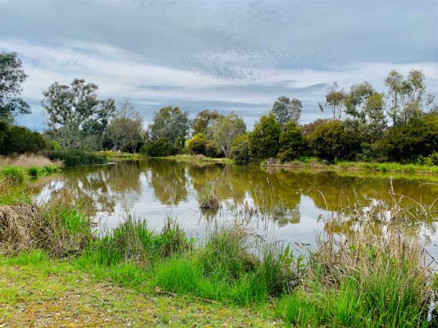 Mansfield Mullum Wetlands, Mansfield, VIC