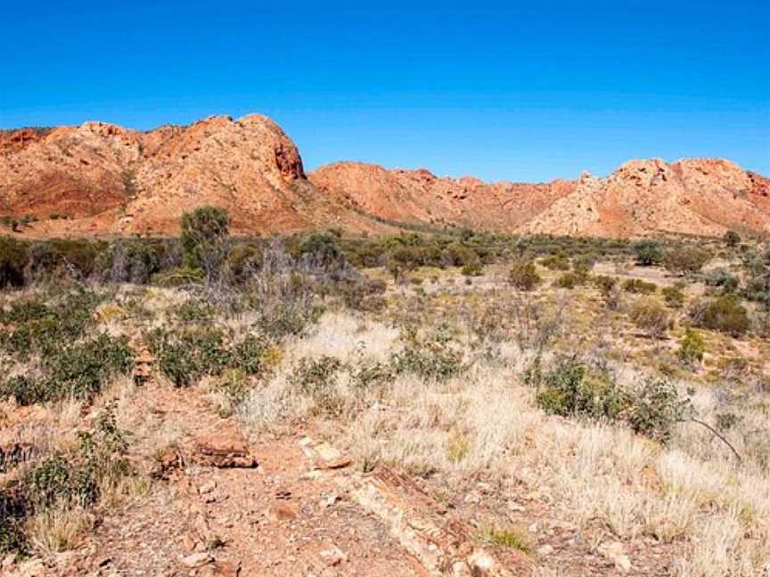 Tnorala (Gosse Bluff) Conservation Reserve, Alice Springs, NT