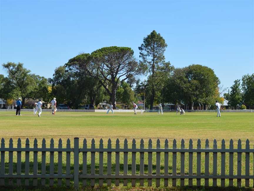 Albert Park, Cootamundra, NSW