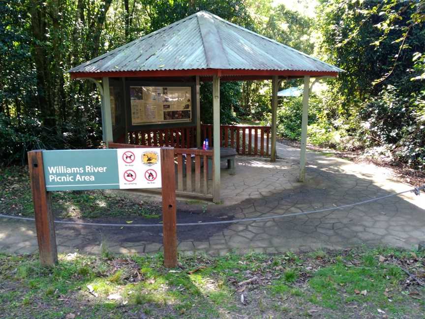 Barrington Tops National Park Walks, Dungog, NSW