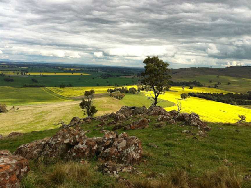 Rock Correa Interpretive Walking Track at Tallis Wine, Dookie, VIC