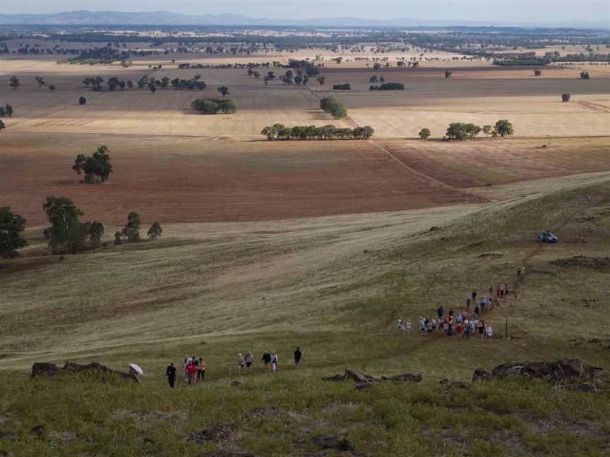 Rock Correa Interpretive Walking Track at Tallis Wine, Dookie, VIC